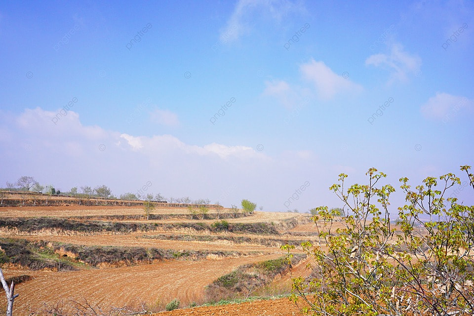 Land Banking Investment