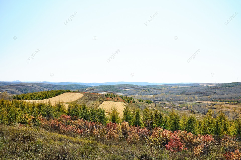 Strategic Land Acquisition